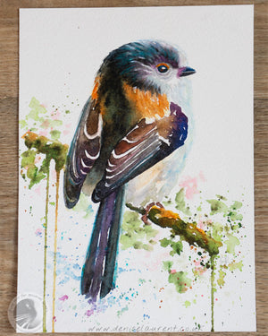 Long-tailed Tit - Sold