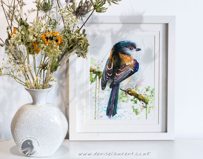 Long-tailed Tit - Sold