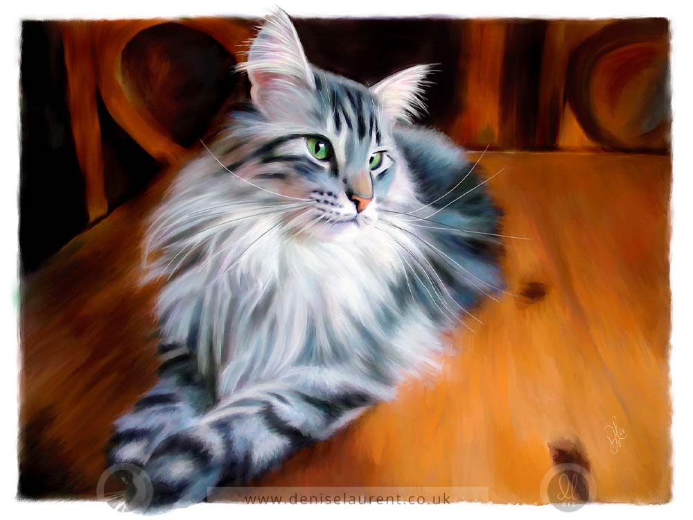 silver maine coon cat on a table art print
