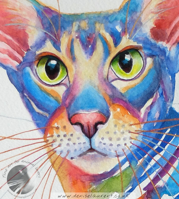 Ollie - Oriental Cat Watercolour - Sold