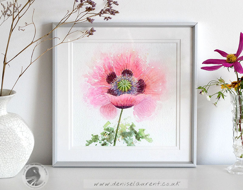 Pink Poppy - Framed 10x10" Watercolour Painting