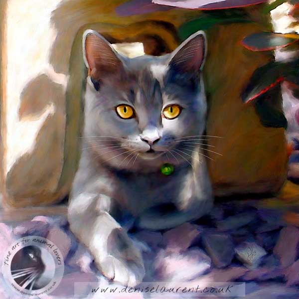 british blue cat art print