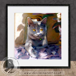 british blue cat artwork framed