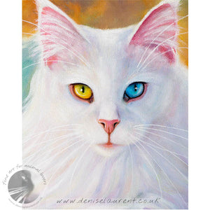 Reading Glasses - Maine Coon Cat Print