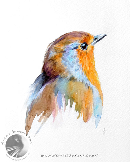 Robin Portrait - Bird Print