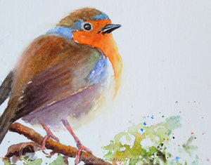 Robin On A Branch - Sold