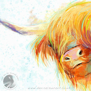 Rose In The Snow - Highland Cow Print