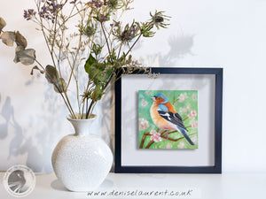 Chaffinch In The Blossom 6x6" Painting