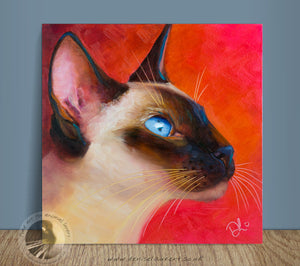 Siamese Cat Profile  - Sold