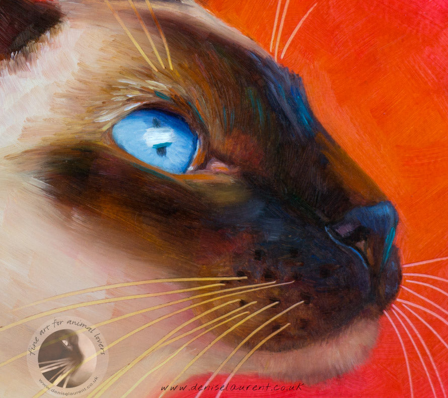 Siamese Cat Profile  - Sold