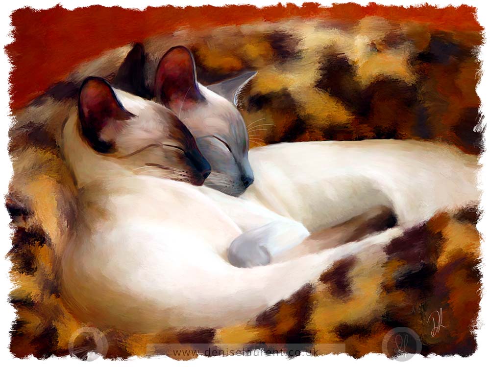art print of two siamese cats curled in in their basket