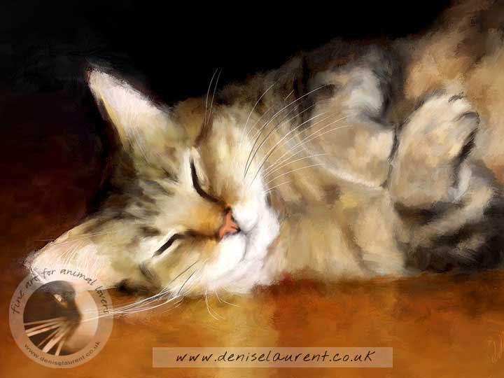 art prints of a tabby cat snoozing on a polished wooden floor