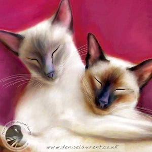 Sugar Plum Fairies - Siamese Cat Print