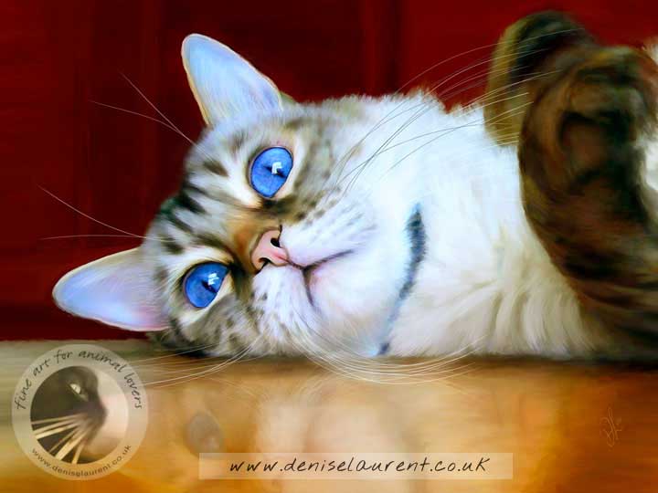 fine art print of a snow bengal cat with blue eyes lying on a table