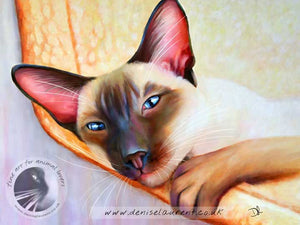 art print of a siamese cat lying in a hammock