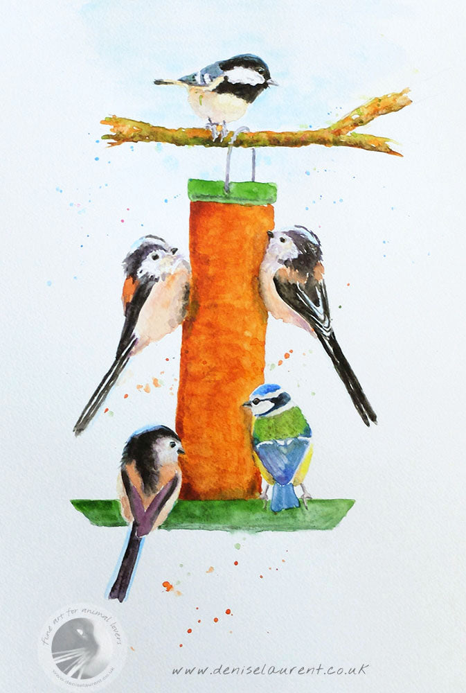 Tits On The Nuts  - Sold