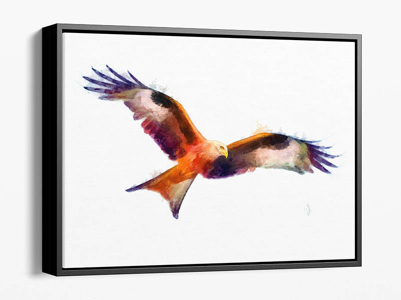 Colourful red kite wall art. A framed canvas print of a red kite in flight, showcasing its beautiful long fingered feathers against a white background, elegantly framed.