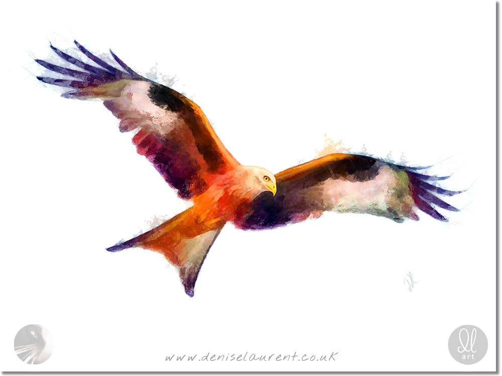 Touching The Wind - Red Kite Art Print