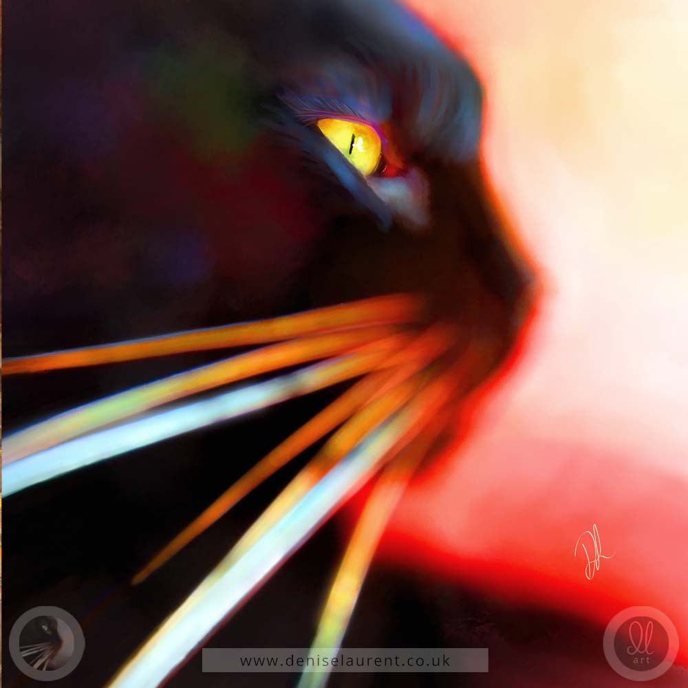 contemporary abstract art print of a black cat face and whiskers on a red backgound