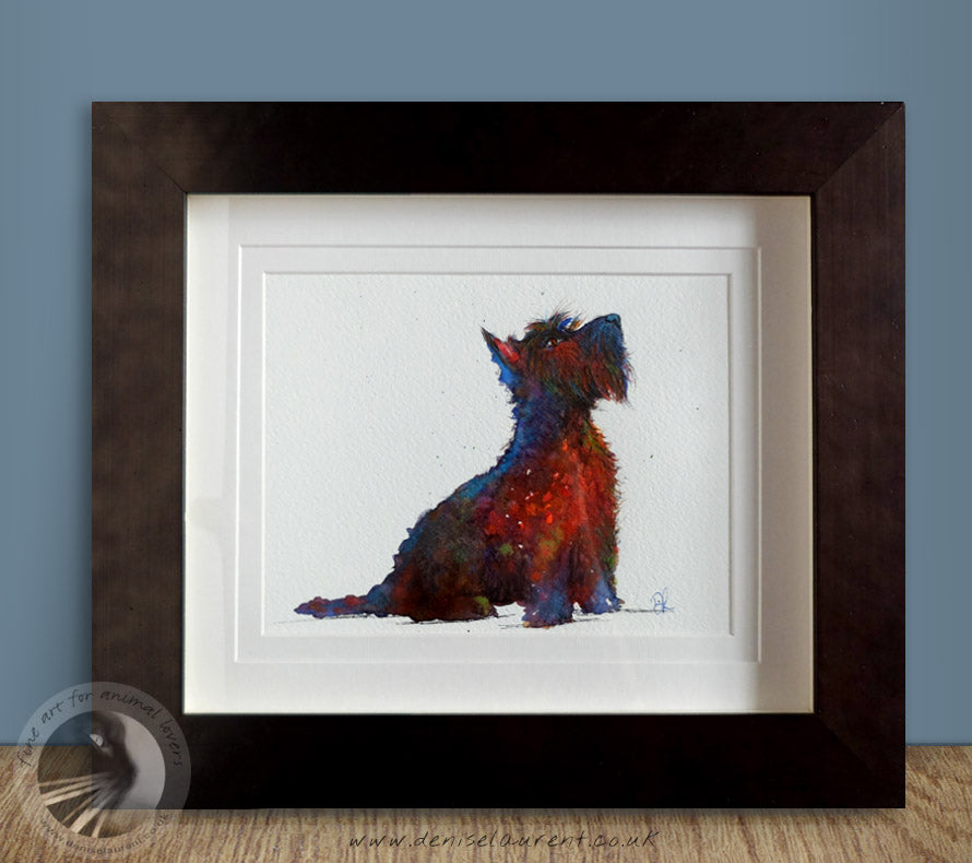 Scottie - Sold
