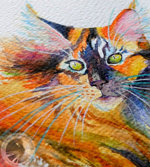 Windswept Tortie -  18"x12" Watercolour Painting