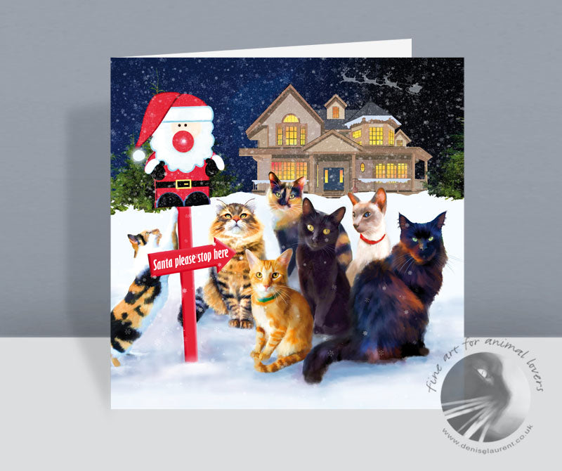 This Way Santa - Cat Christmas Card